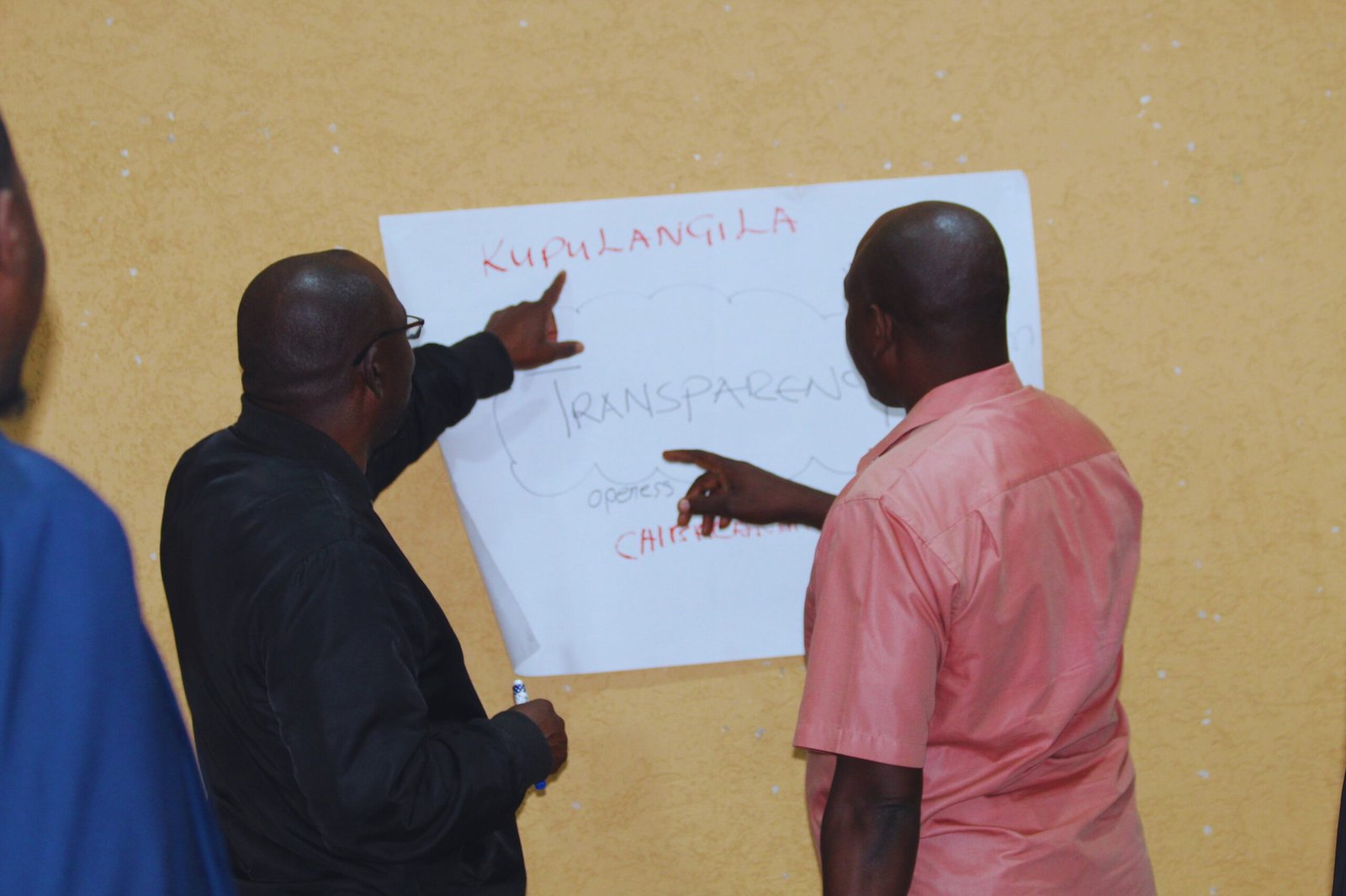 EATAP activities in Choma